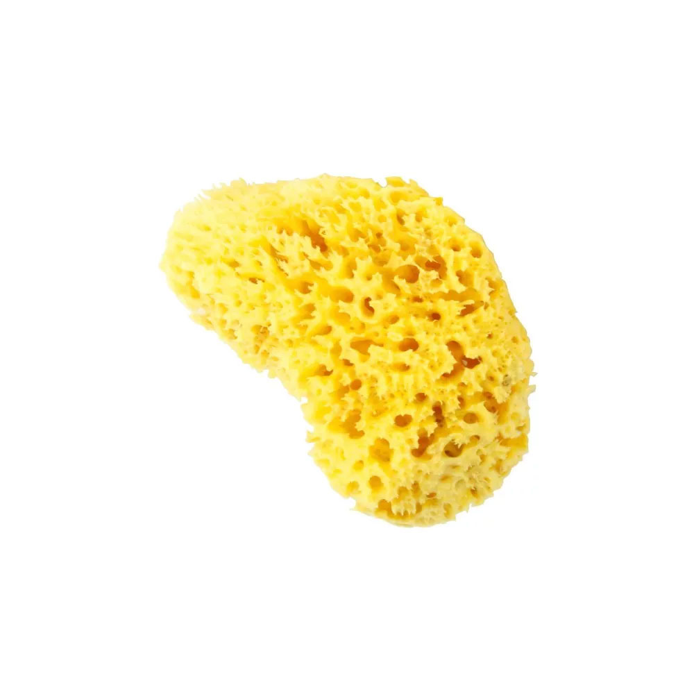 Estipharm Spugna naturale Ultra morbida x1