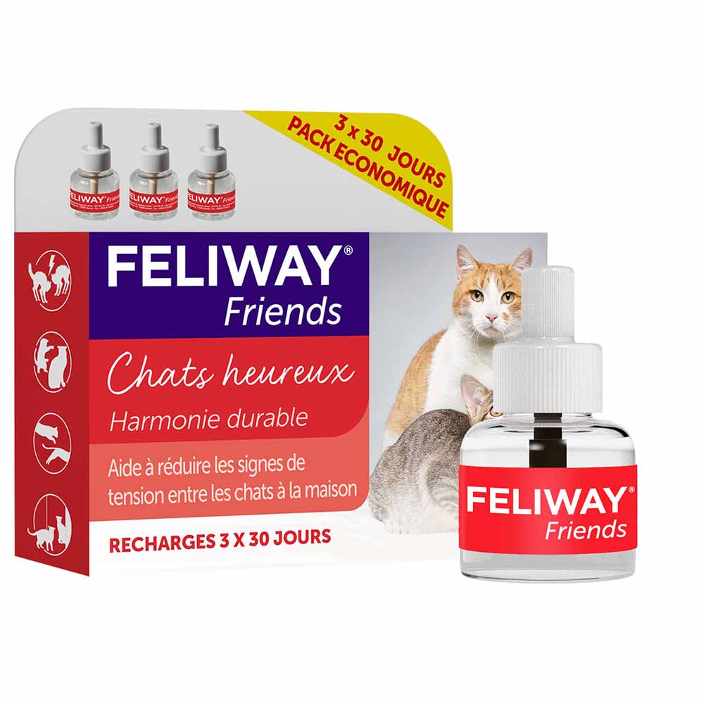 Feliway Friends Gatti Heureux Harmonie Durable Ricariche entre Chats 3x48ml