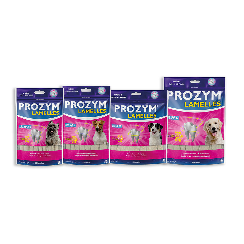 Prozym Cane da masticare placca dentale e alito cattivo x15