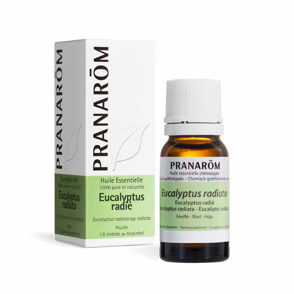 Pranarôm Oli Essenziali Olio essenziale Eucalyptus Radie 10 ml