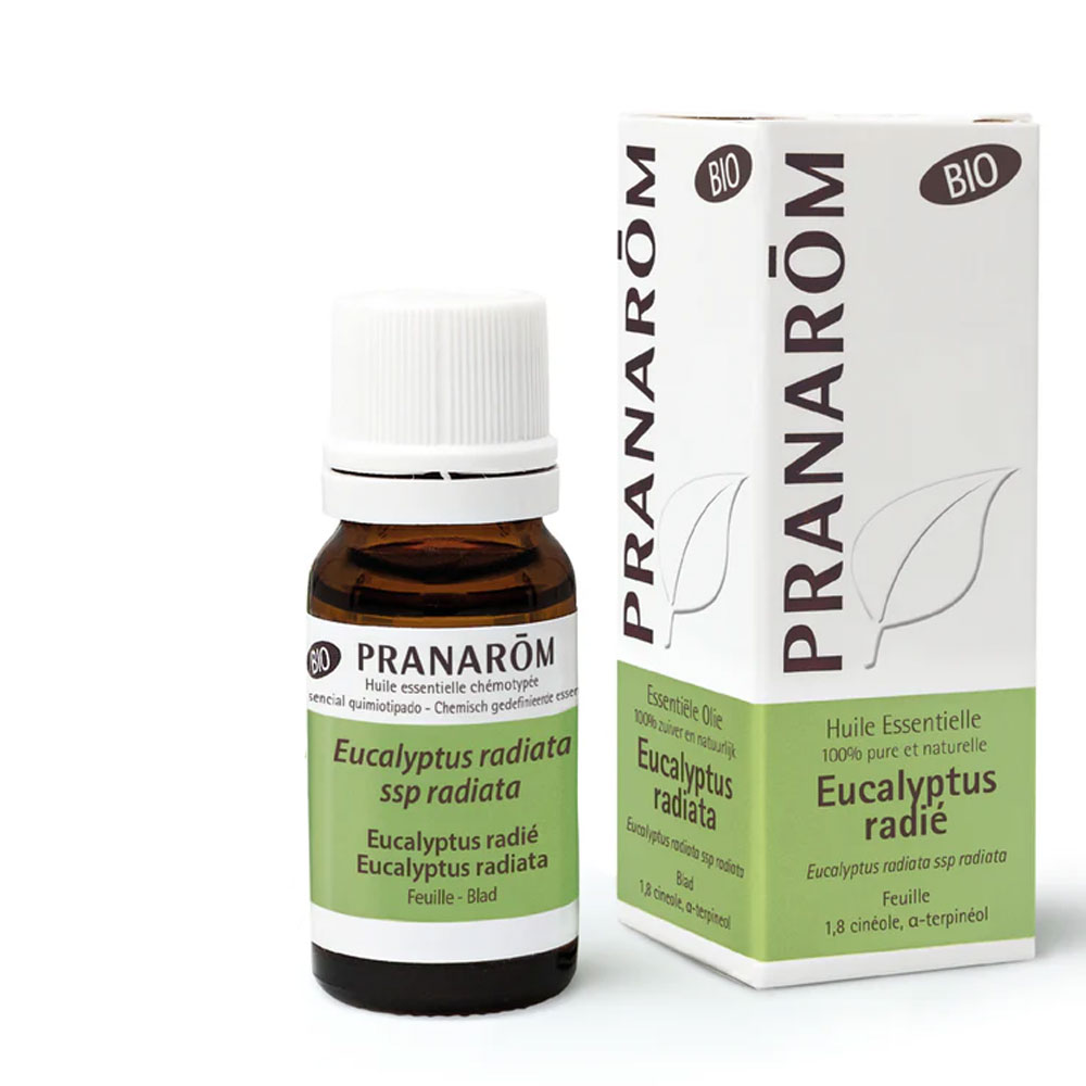 Pranarôm Oli Essenziali Olio essenziale Eucalyptus Radié bio 10 ml