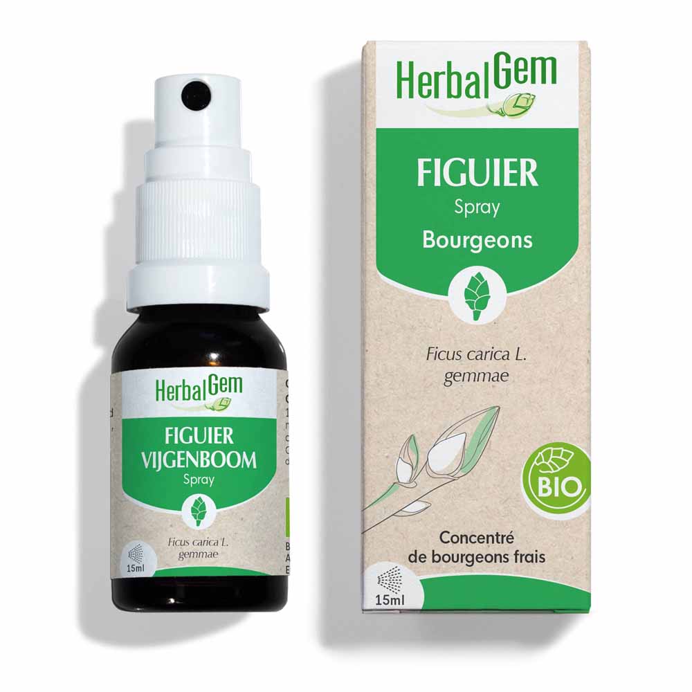 Herbalgem Bourgeons Fico spray Bio 15ml
