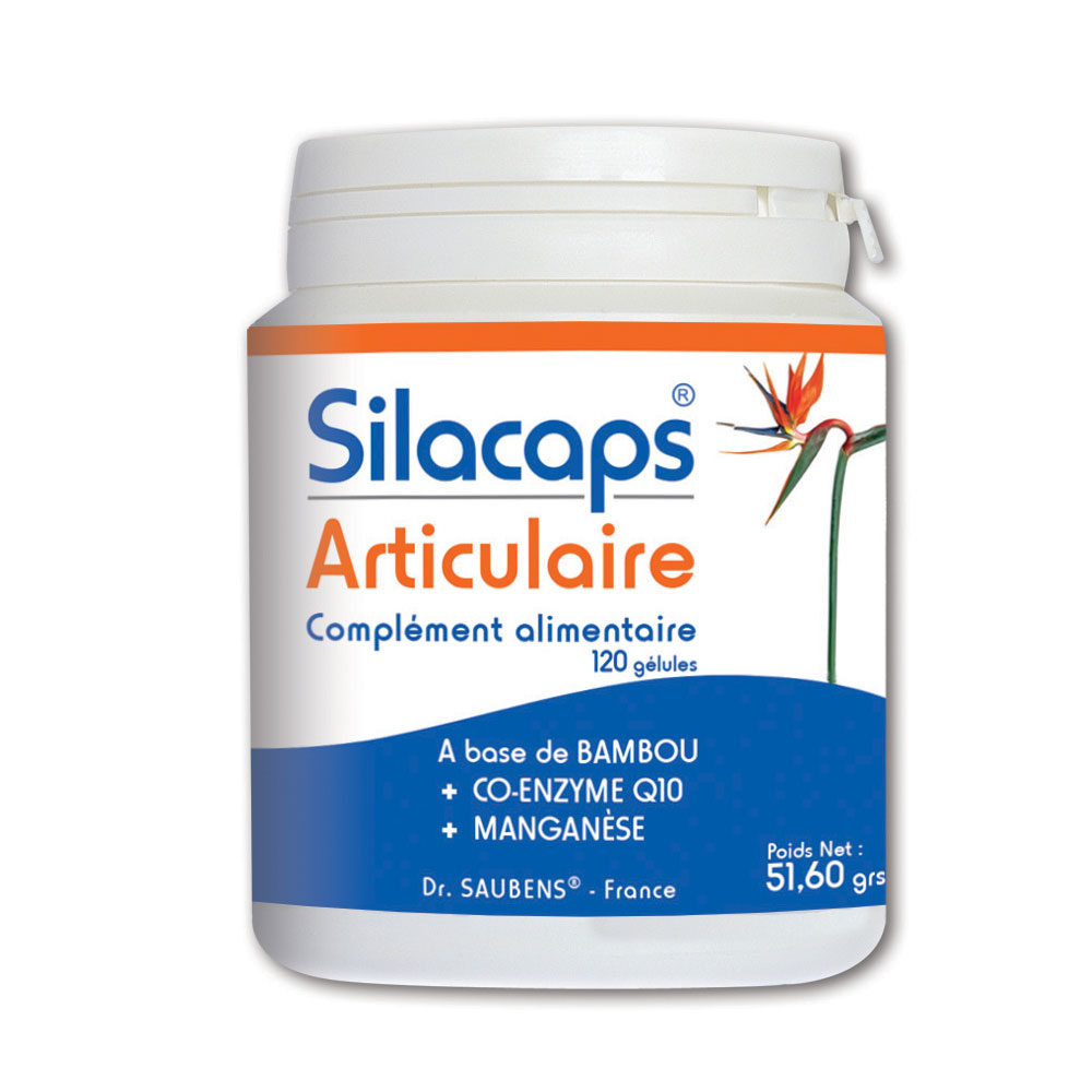 Labo Sante Silice Silacaps Articulaire 120 Gelule