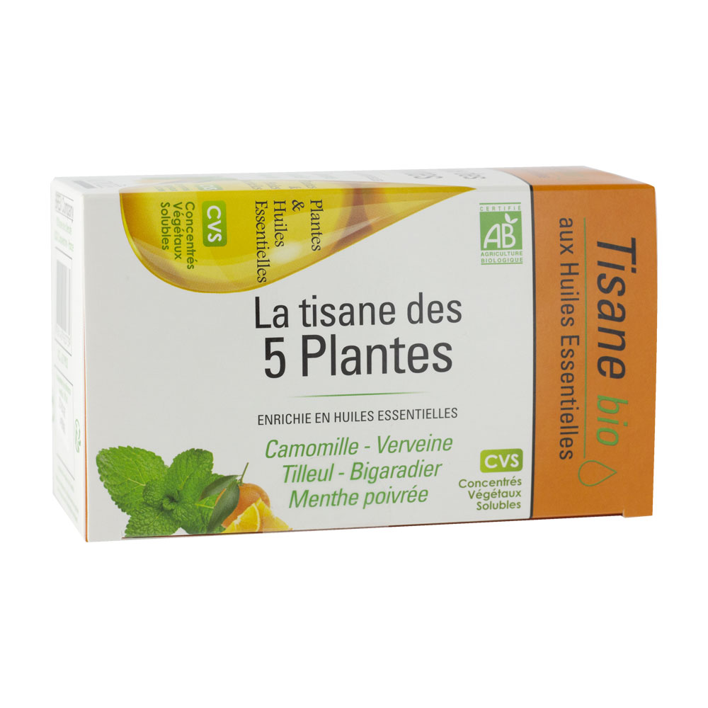 Nutrigée Tisana di 5 piante biologiche X20